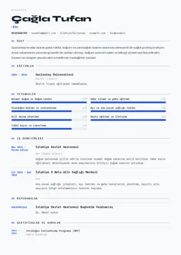 Ebe Cv Örnekleri cv indir